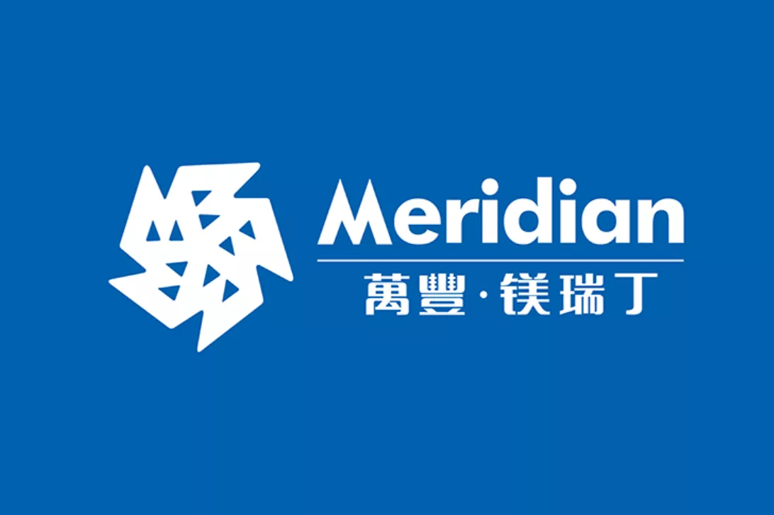 万丰奥特控股集团核心子公司
全球镁合金汽车零部件龙头